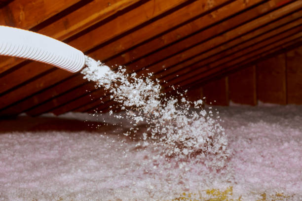Best Commercial Insulation in Plantsville, CT