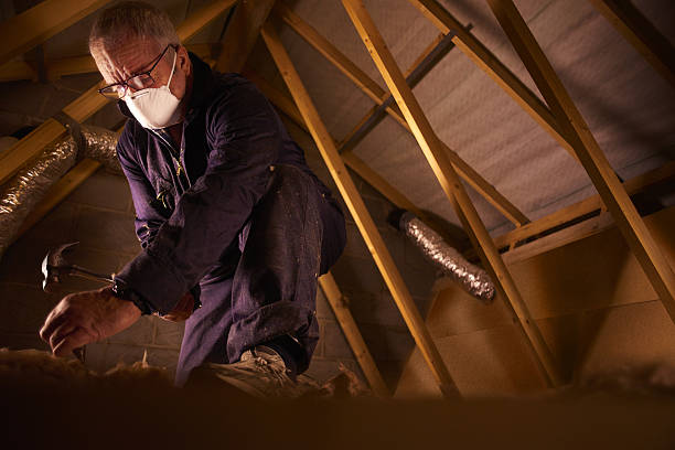 Best Energy Efficiency Insulation in Plantsville, CT
