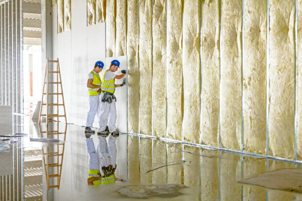 Best Specialized Insulation Services in Plantsville, CT